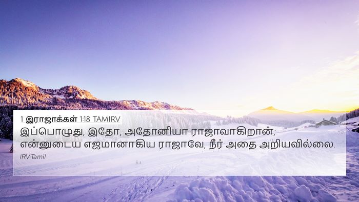 1 இராஜாக்கள் 1:18 TAMIRV Bible Verse Image