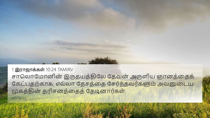 1 இராஜாக்கள் 10:24 TAMIRV 4K Wallpaper - சாலொமோனின் - 4K Wallpaper Bible Verse