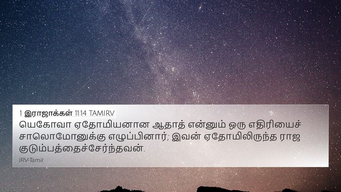 1 இராஜாக்கள் 11:14 TAMIRV Bible Verse Image
