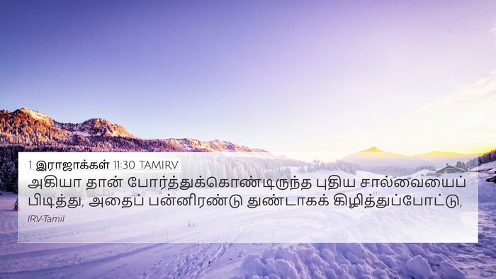 1 இராஜாக்கள் 11:30 TAMIRV Bible Verse Image
