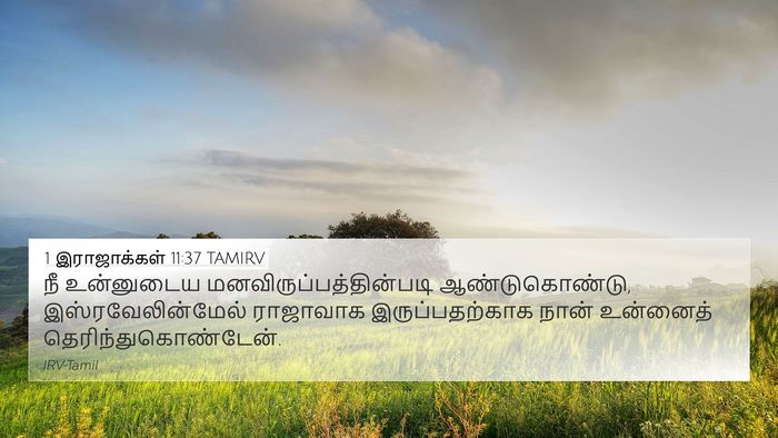 1 இராஜாக்கள் 11:37 TAMIRV 4K Wallpaper - நீ உன்னுடைய - 4K Wallpaper Bible Verse
