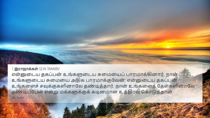 1 இராஜாக்கள் 12:14 TAMIRV Bible Verse Image