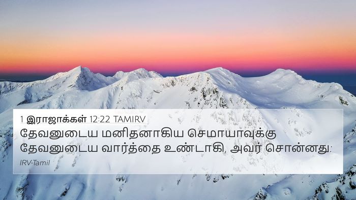 1 இராஜாக்கள் 12:22 TAMIRV Bible Verse Image