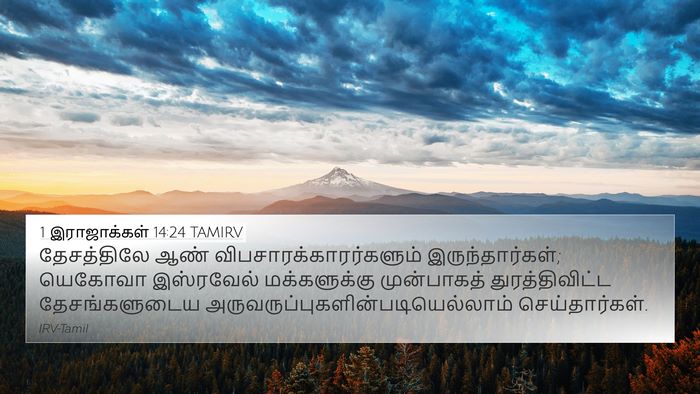1 இராஜாக்கள் 14:24 TAMIRV Bible Verse Image