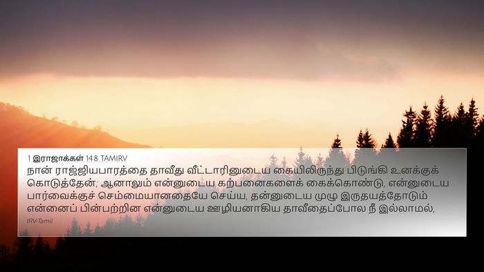 1 இராஜாக்கள் 14:8 TAMIRV Bible Verse Image