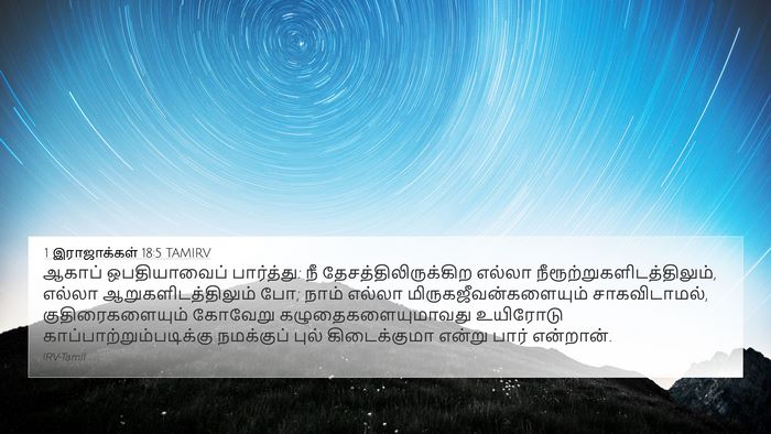 1 இராஜாக்கள் 18:5 TAMIRV Bible Verse Image