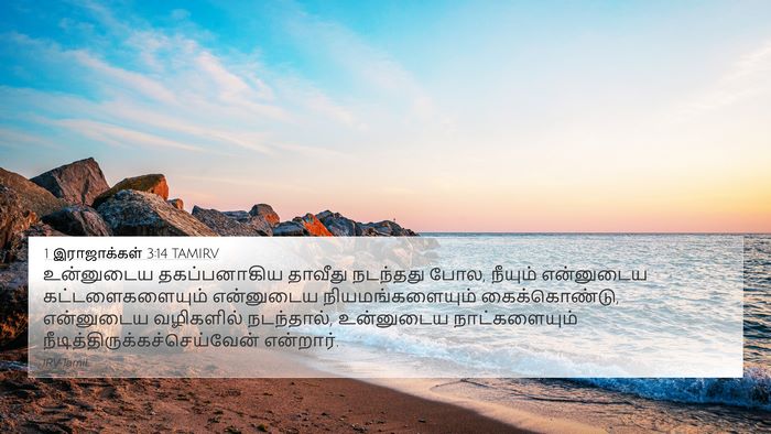1 இராஜாக்கள் 3:14 TAMIRV Bible Verse Image