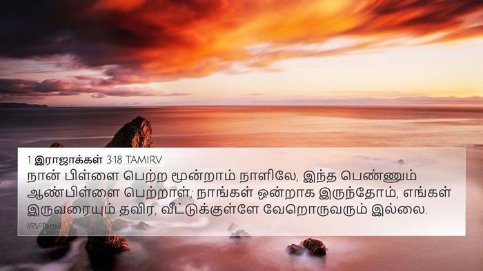 1 இராஜாக்கள் 3:18 TAMIRV 4K Wallpaper - நான் பிள்ளை பெற்ற - 4K Wallpaper Bible Verse