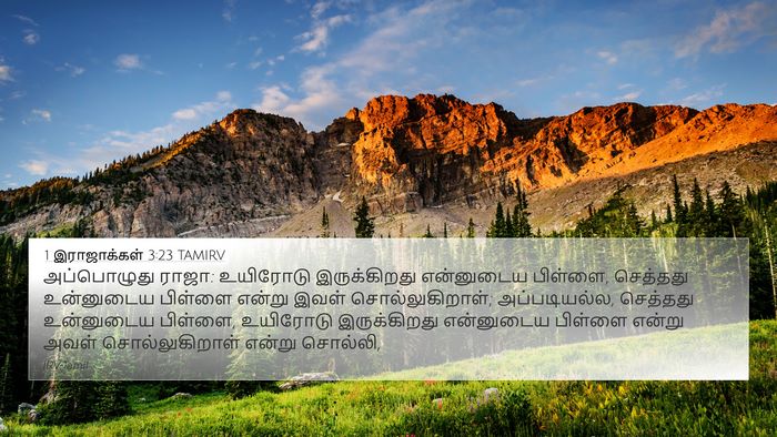 1 இராஜாக்கள் 3:23 TAMIRV Bible Verse Image