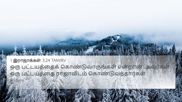 1 இராஜாக்கள் 3:24 TAMIRV 4K Wallpaper - ஒரு பட்டயத்தைக் - 4K Wallpaper Bible Verse