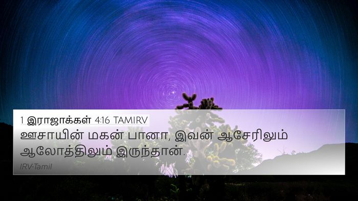 1 இராஜாக்கள் 4:16 TAMIRV 4K Wallpaper - ஊசாயின் மகன் பானா, - 4K Wallpaper Bible Verse