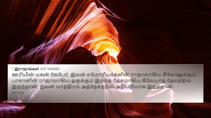 1 இராஜாக்கள் 4:19 TAMIRV Bible Verse Image