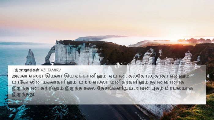 1 இராஜாக்கள் 4:31 TAMIRV Bible Verse Image