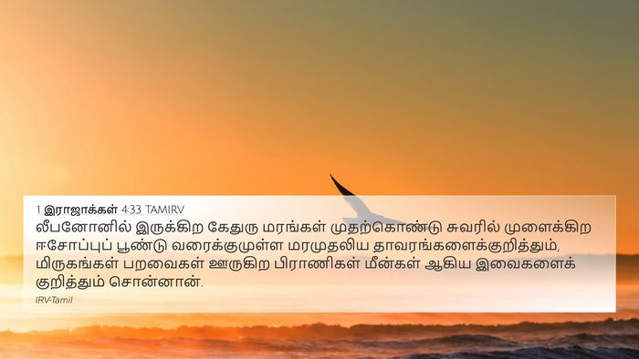 1 இராஜாக்கள் 4:33 TAMIRV Bible Verse Image
