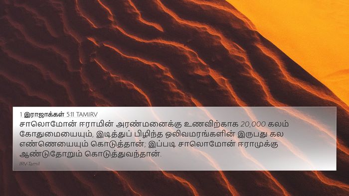 1 இராஜாக்கள் 5:11 TAMIRV Bible Verse Image