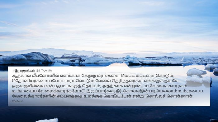 1 இராஜாக்கள் 5:6 TAMIRV Bible Verse Image