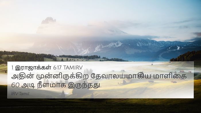 1 இராஜாக்கள் 6:17 TAMIRV 4K Wallpaper - அதின் - 4K Wallpaper Bible Verse