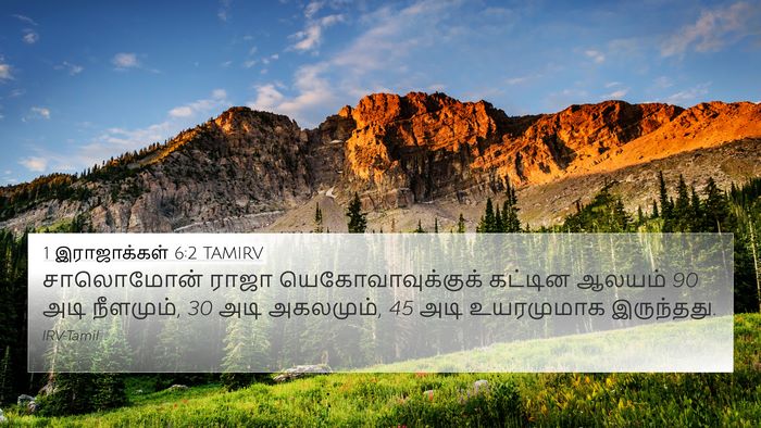 1 இராஜாக்கள் 6:2 TAMIRV Bible Verse Image