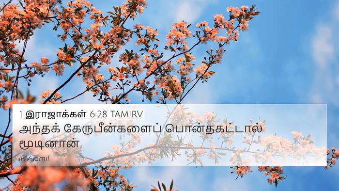 1 இராஜாக்கள் 6:28 TAMIRV 4K Wallpaper - அந்தக் - 4K Wallpaper Bible Verse