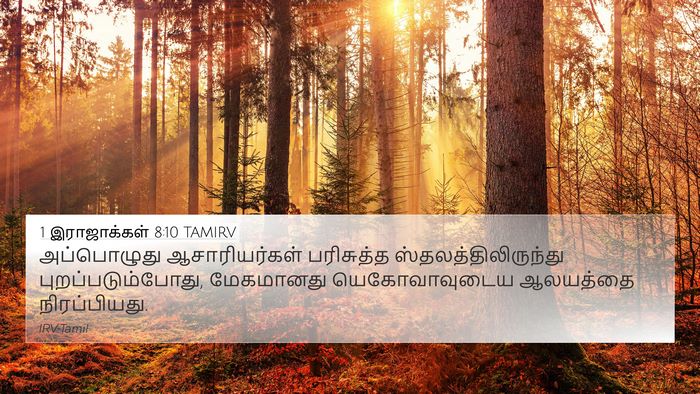 1 இராஜாக்கள் 8:10 TAMIRV Bible Verse Image