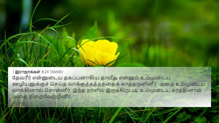 1 இராஜாக்கள் 8:24 TAMIRV 4K Wallpaper - தேவரீர் என்னுடைய - 4K Wallpaper Bible Verse