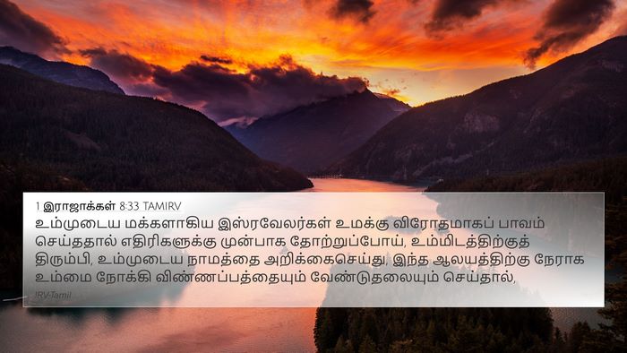 1 இராஜாக்கள் 8:33 TAMIRV Bible Verse Image