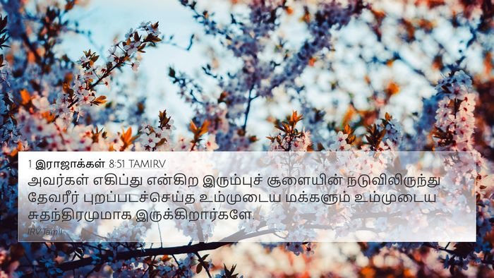 1 இராஜாக்கள் 8:51 TAMIRV Bible Verse Image