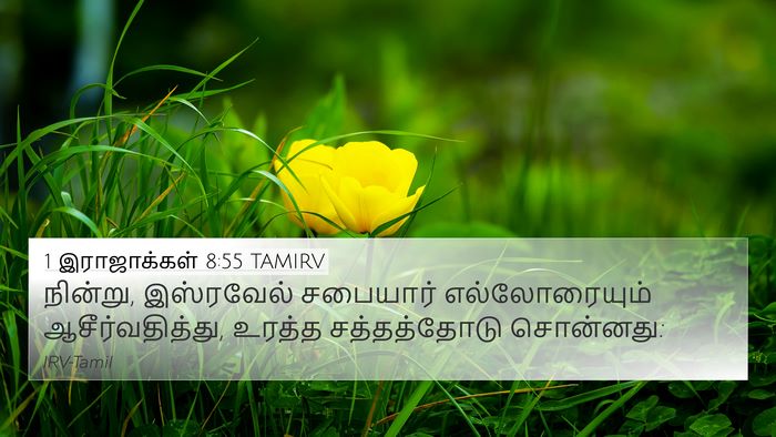1 இராஜாக்கள் 8:55 TAMIRV Bible Verse Image