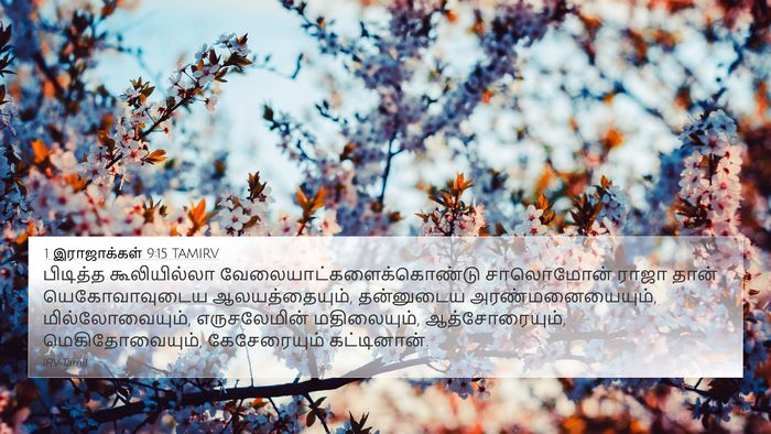1 இராஜாக்கள் 9:15 TAMIRV Bible Verse Image