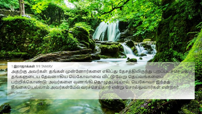 1 இராஜாக்கள் 9:9 TAMIRV Bible Verse Image