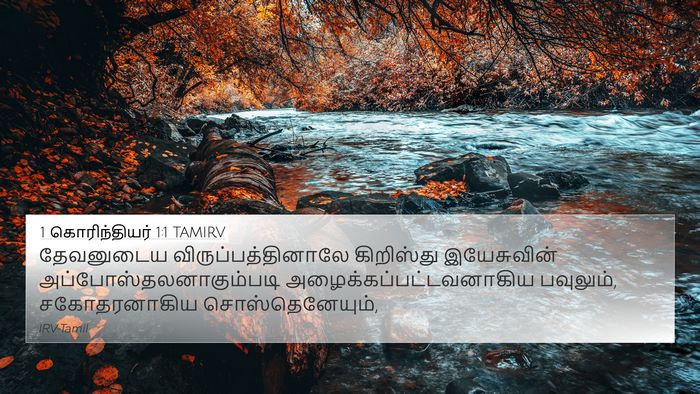 1 கொரிந்தியர் 1:1 TAMIRV 4K Wallpaper - தேவனுடைய - 4K Wallpaper Bible Verse