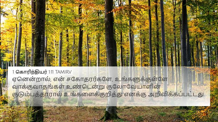 1 கொரிந்தியர் 1:11 TAMIRV Bible Verse Image