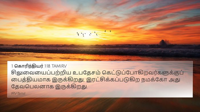 1 கொரிந்தியர் 1:18 TAMIRV Bible Verse Image