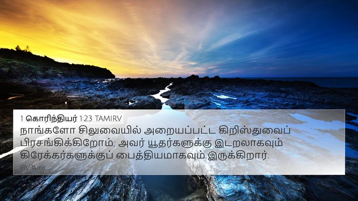 1 கொரிந்தியர் 1:23 TAMIRV Bible Verse Image