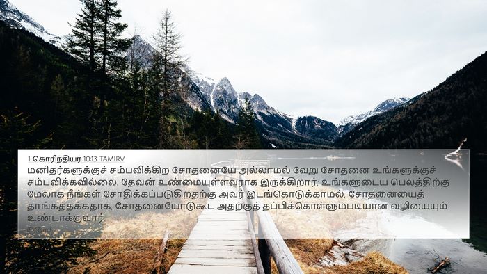 1 கொரிந்தியர் 10:13 TAMIRV Bible Verse Image