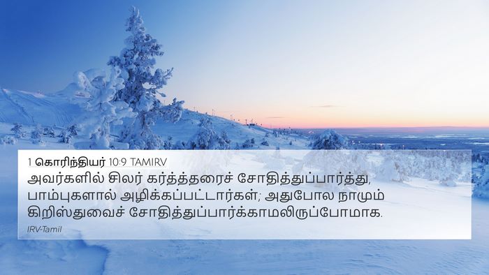 1 கொரிந்தியர் 10:9 TAMIRV Bible Verse Image