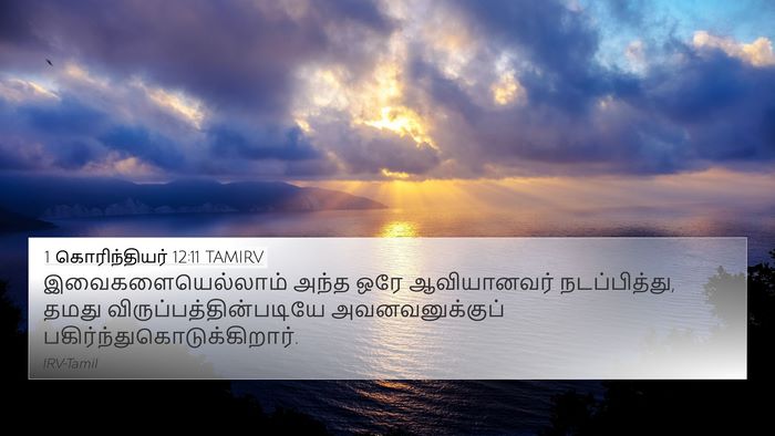 1 கொரிந்தியர் 12:11 TAMIRV Bible Verse Image