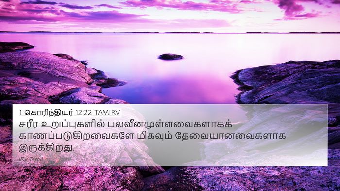 1 கொரிந்தியர் 12:22 TAMIRV Bible Verse Image