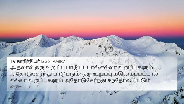 1 கொரிந்தியர் 12:26 TAMIRV Bible Verse Image