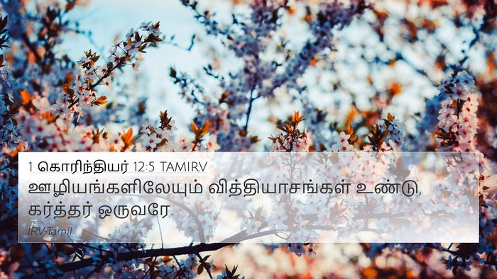 1 கொரிந்தியர் 12:5 TAMIRV 4K Wallpaper - ஊழியங்களிலேயும் - 4K Wallpaper Bible Verse