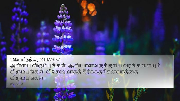 1 கொரிந்தியர் 14:1 TAMIRV Bible Verse Image