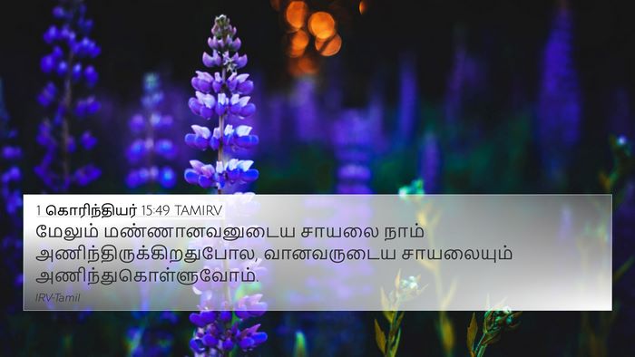 1 கொரிந்தியர் 15:49 TAMIRV Bible Verse Image