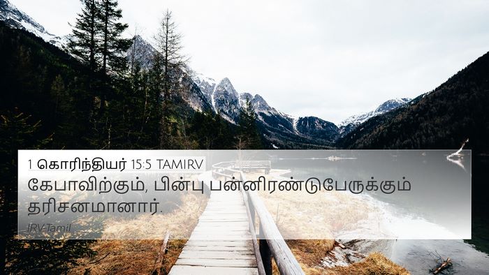 1 கொரிந்தியர் 15:5 TAMIRV Bible Verse Image