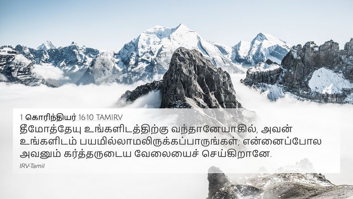 1 கொரிந்தியர் 16:10 TAMIRV Bible Verse Image