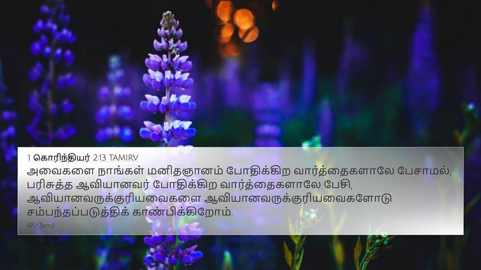 1 கொரிந்தியர் 2:13 TAMIRV Bible Verse Image