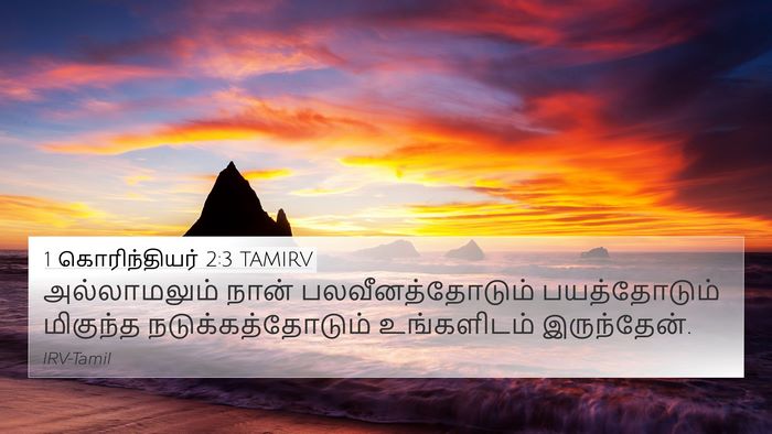 1 கொரிந்தியர் 2:3 TAMIRV Bible Verse Image