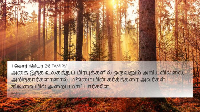 1 கொரிந்தியர் 2:8 TAMIRV Bible Verse Image