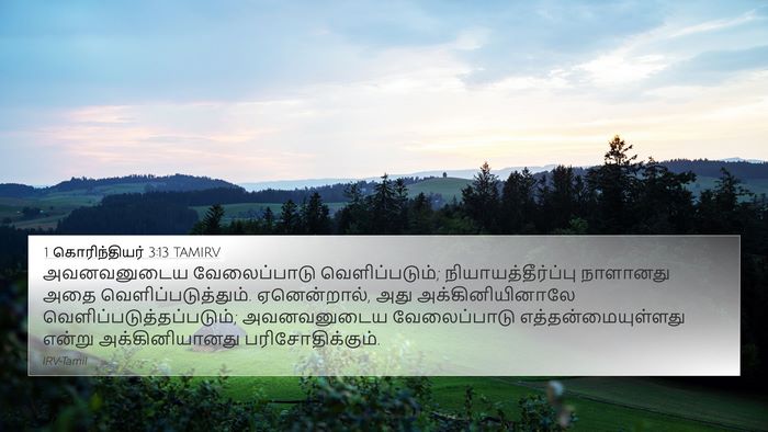 1 கொரிந்தியர் 3:13 TAMIRV Bible Verse Image