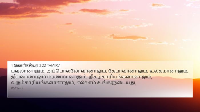1 கொரிந்தியர் 3:22 TAMIRV Bible Verse Image