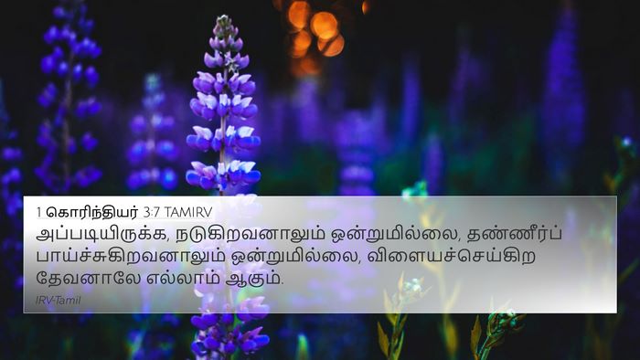 1 கொரிந்தியர் 3:7 TAMIRV Bible Verse Image